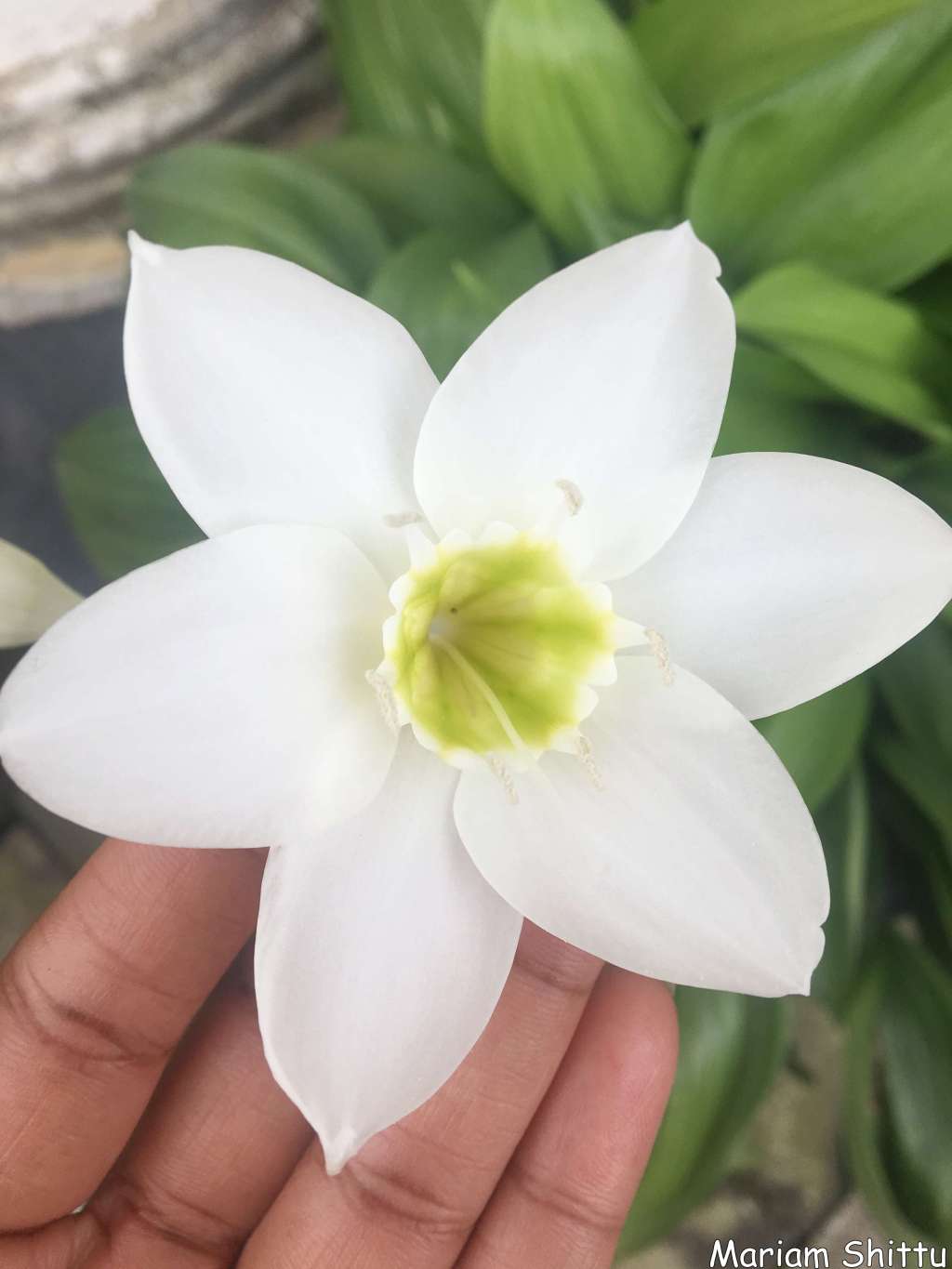 PHOTOGRAPHY| Flowers in September 