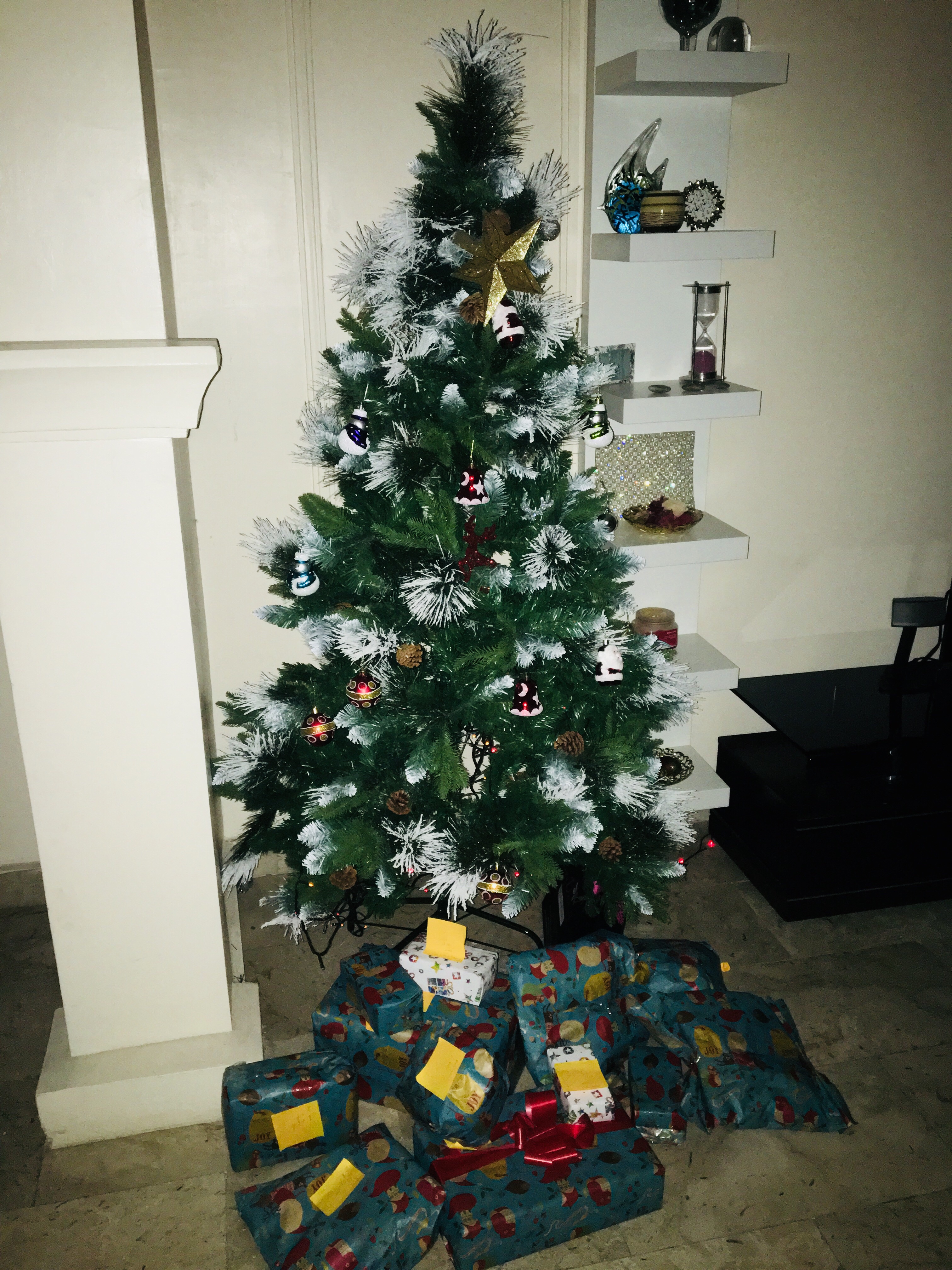 Holiday Fever