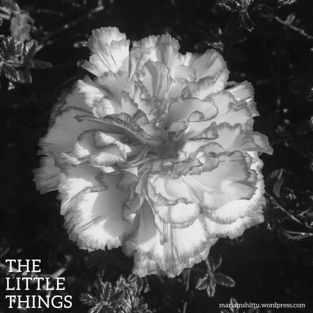 POEM|The Little Things