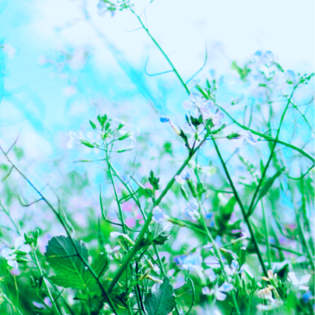 10 Ancient Rituals of Radiant&nbsp;Living