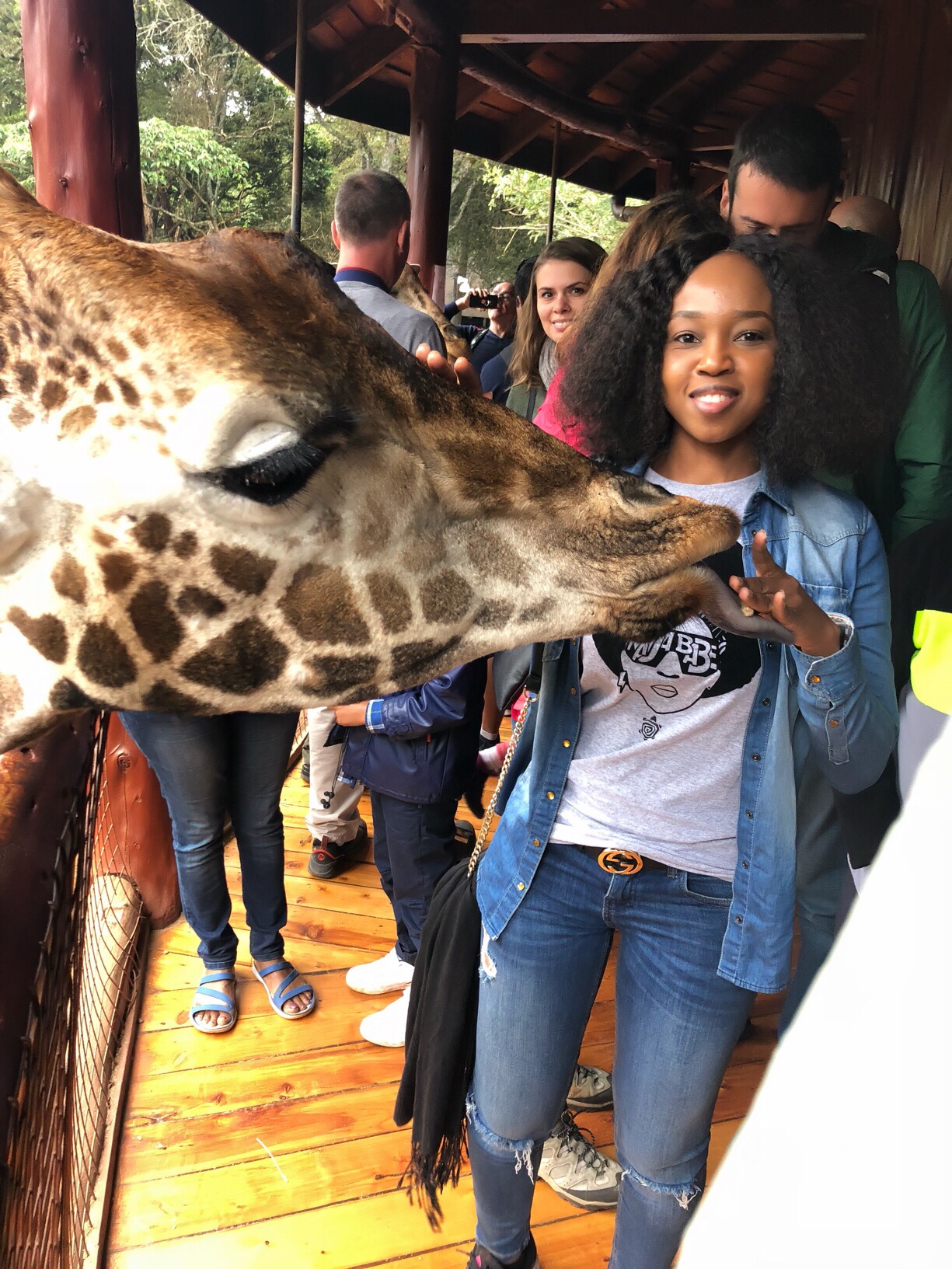 Travel|All About The Animals