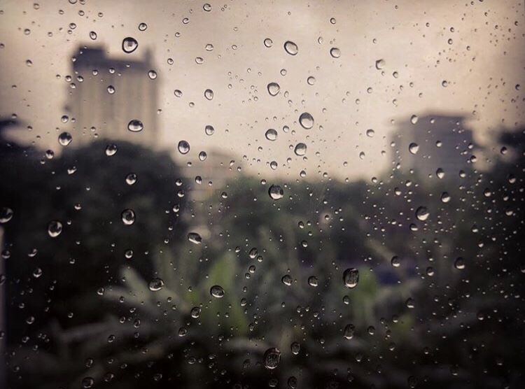 POEM|The Rain #2