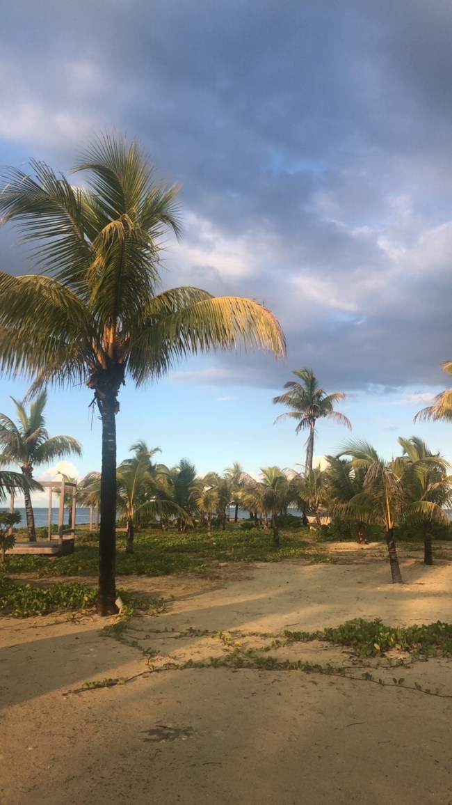 Wallpapers From Mauritius