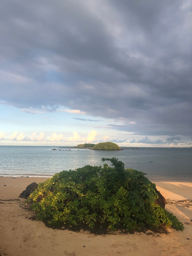 Wallpapers From Mauritius