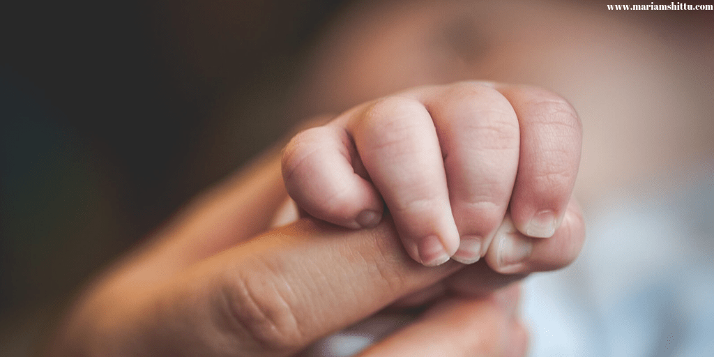 The Truth About Life