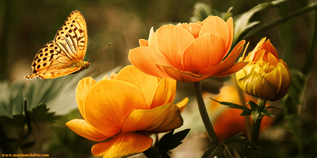 POEM| The Ultimate Goal Of&nbsp;Life