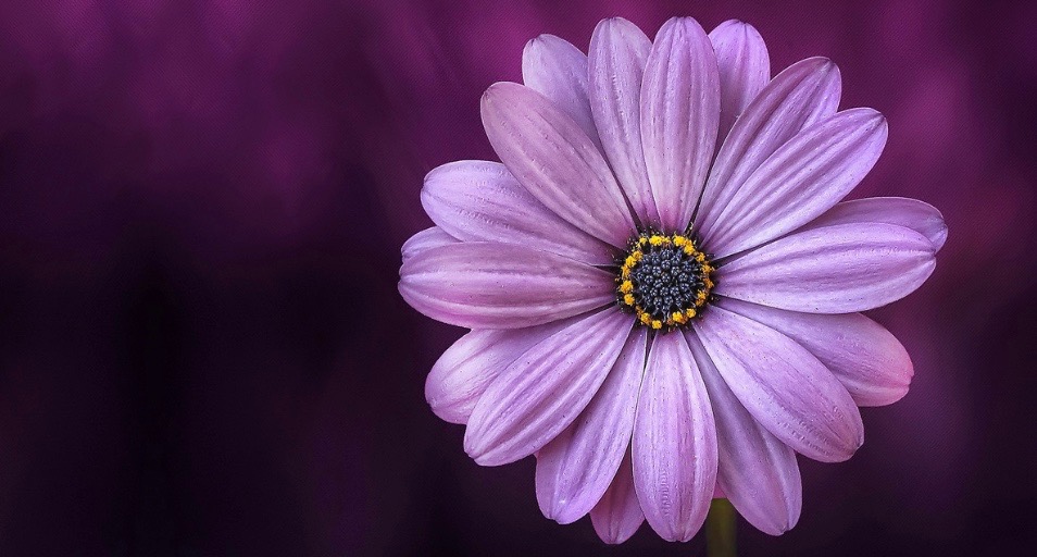 POEM| You Are Not Broken