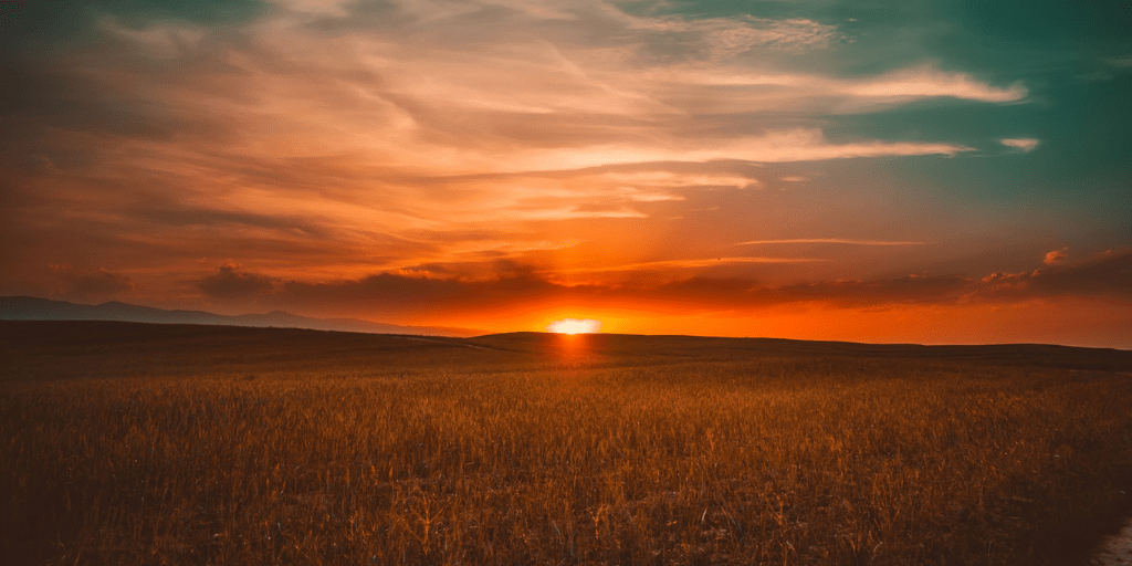 POEM| The Scars Of&nbsp;Loss