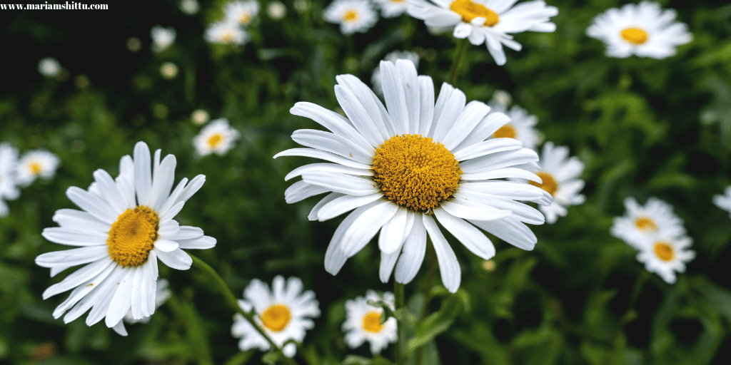 POEM| You Don’t Get To Choose