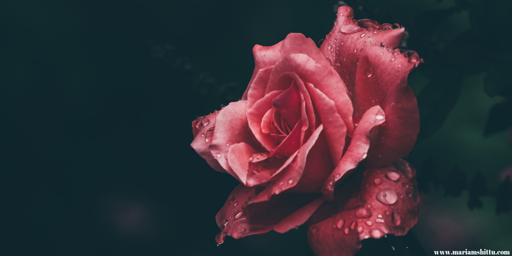 POEM| Reminiscing