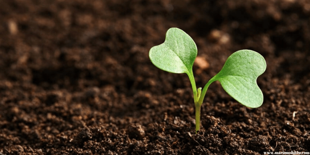 Wherever You Are Is The Perfect Place To&nbsp;Begin