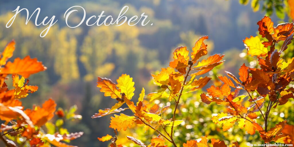 My October