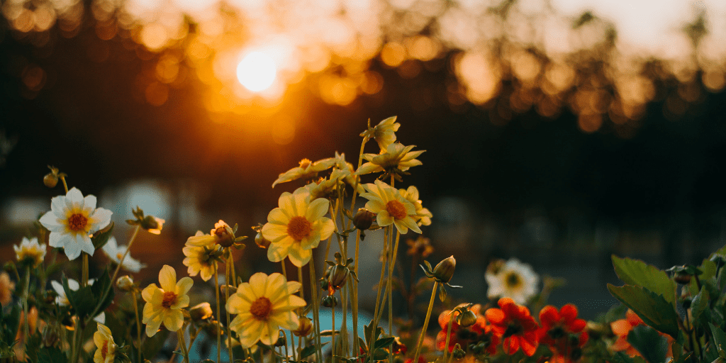 POEM| You’re Always On My Mind