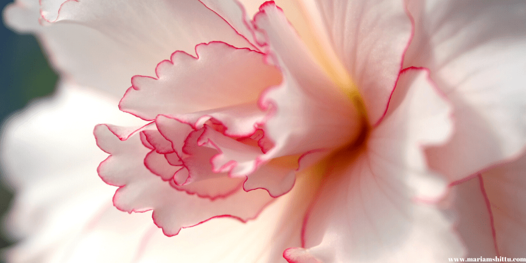 POEM| Just Another&nbsp;Day