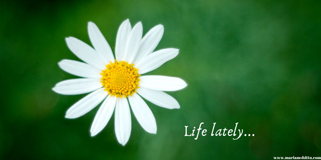 Life Update| May 2020
