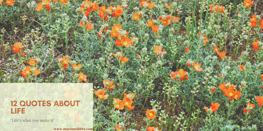 12 Quotes About Life I’m Loving Right&nbsp;Now