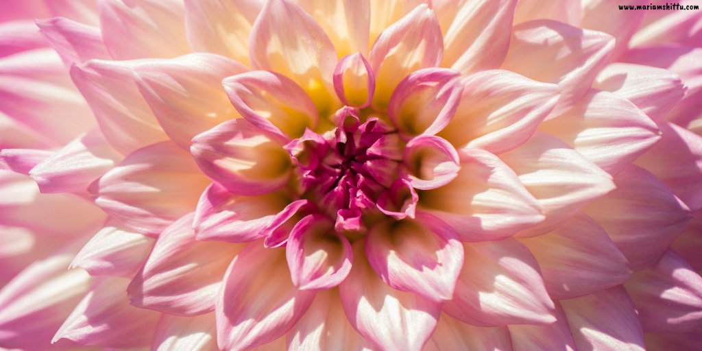 8 Philosophies That Give Life More Meaning