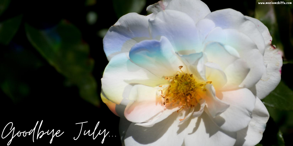 Life Update| July 2020