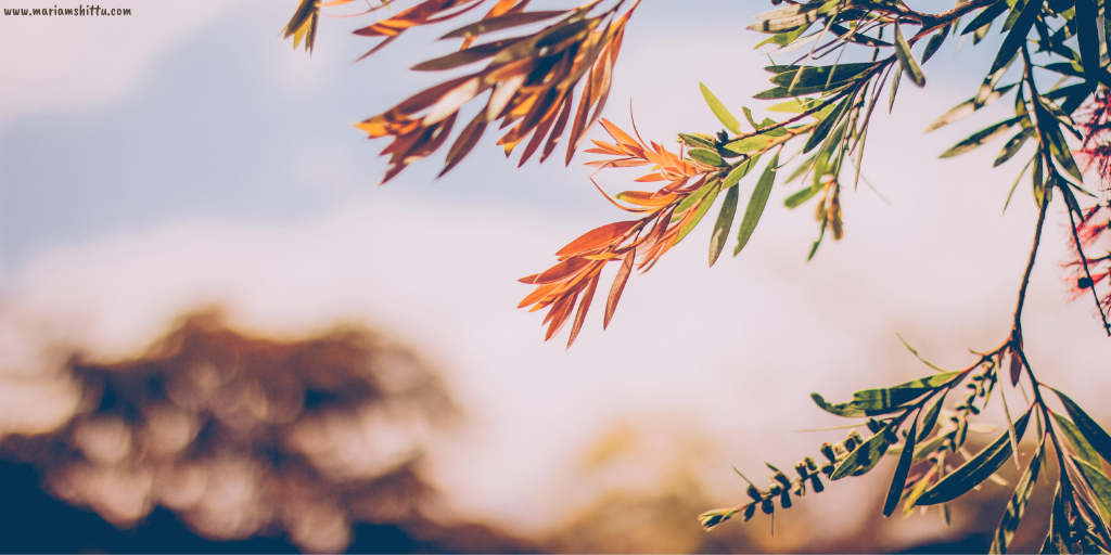 POEM| I Thought I Knew You