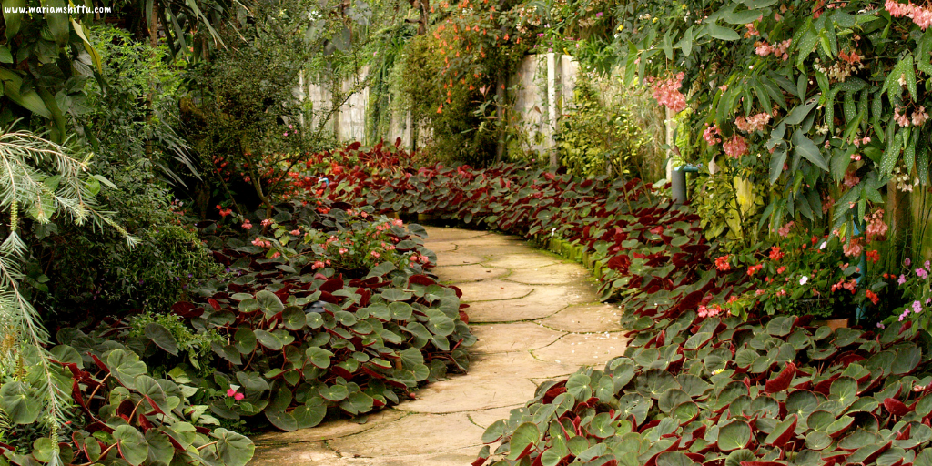 POEM| A Piece of&nbsp;Heaven