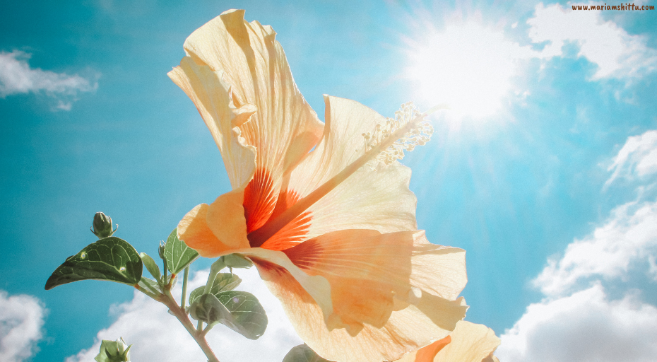 POEM| A New Day