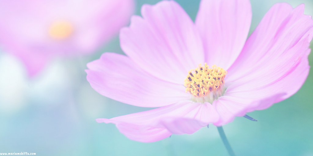 POEM| Someone Out There Is Happy Because of You