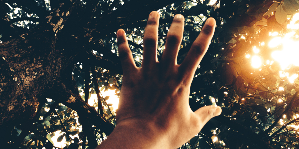 POEM| We’re All Winging It