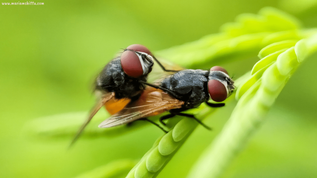 POEM| It’s Not Just&nbsp;Sex