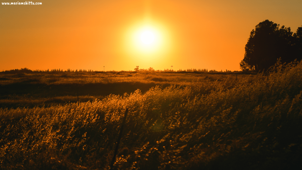 POEM| It Was A Good&nbsp;Day