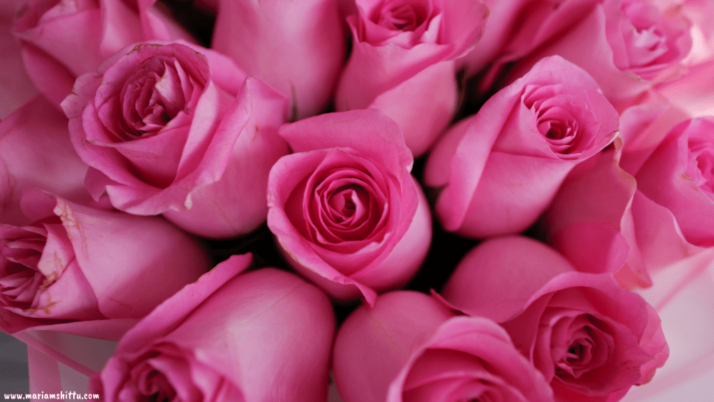 POEM| Love Is&nbsp;You