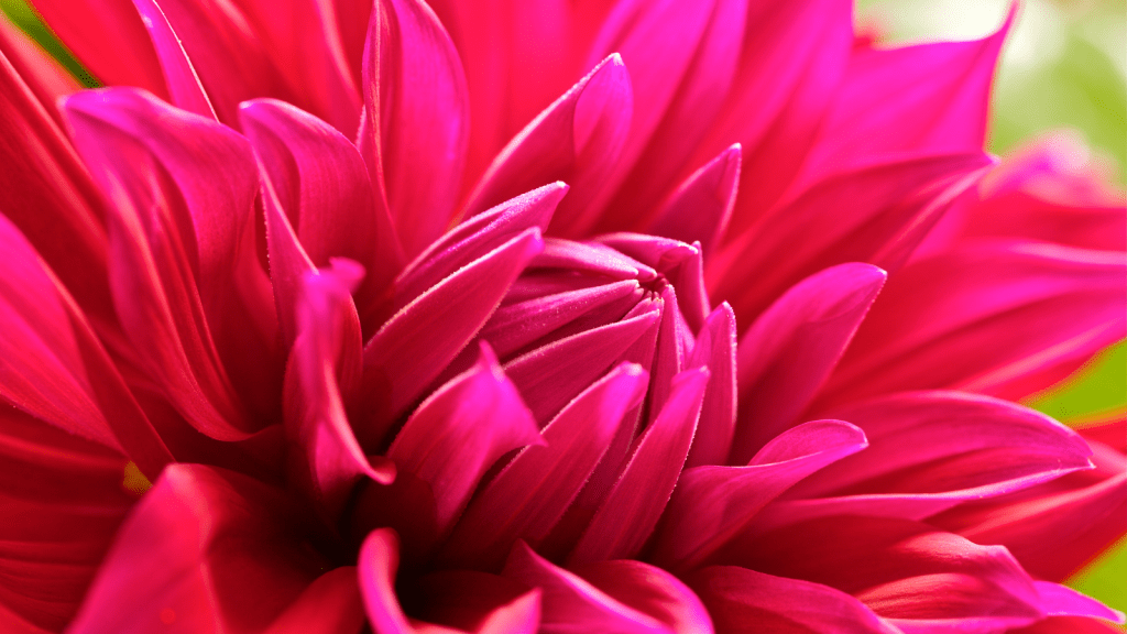 POEM| I’m Not The Same&nbsp;Girl