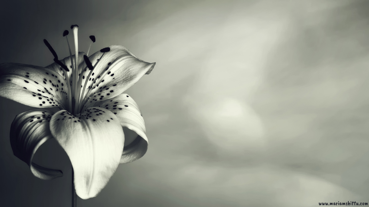 POEM| You Are Ever-present