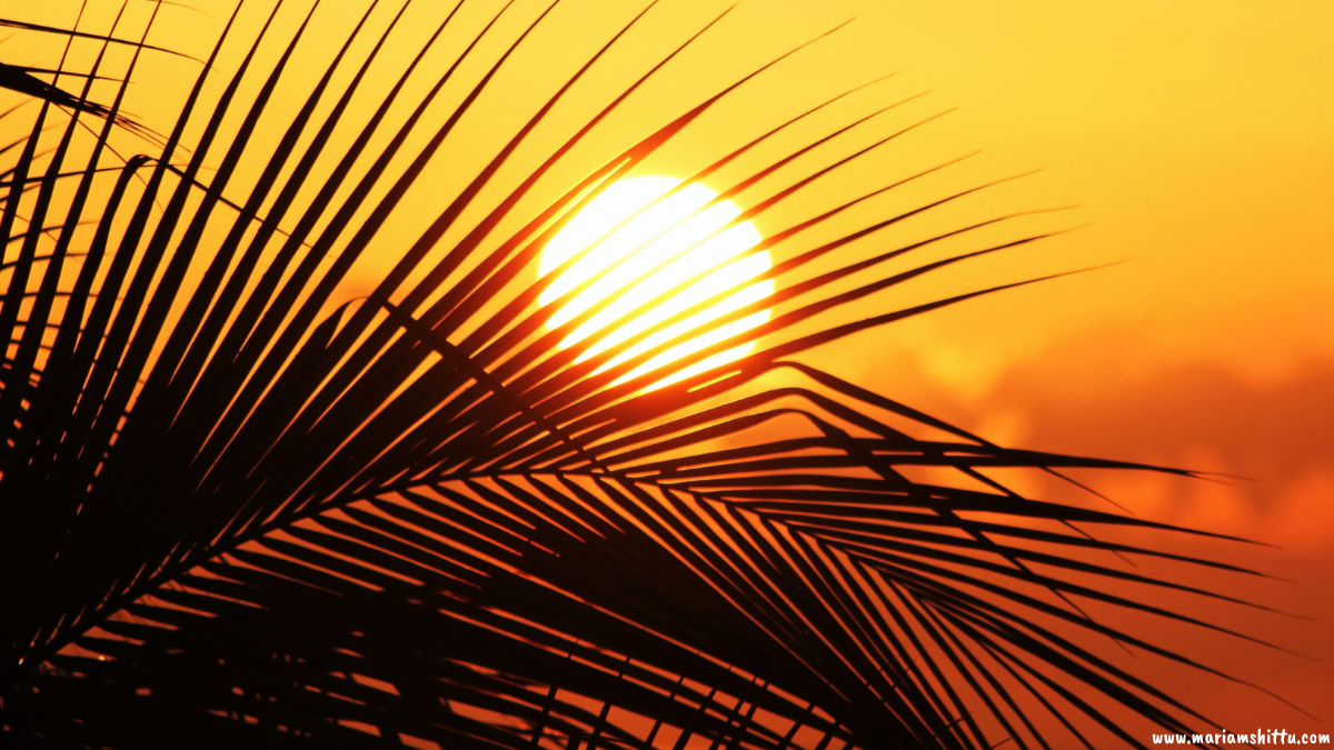 POEM| Your Good Fortune Will Come