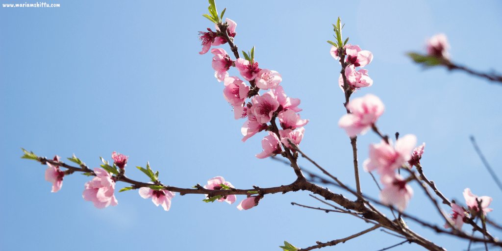 10 Things I Learnt in January&nbsp;2023