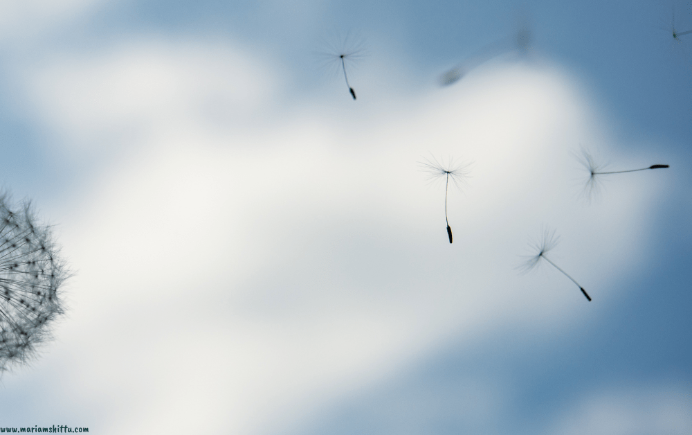 The 5 Pieces of Advice That Completely Changed My&nbsp;Life