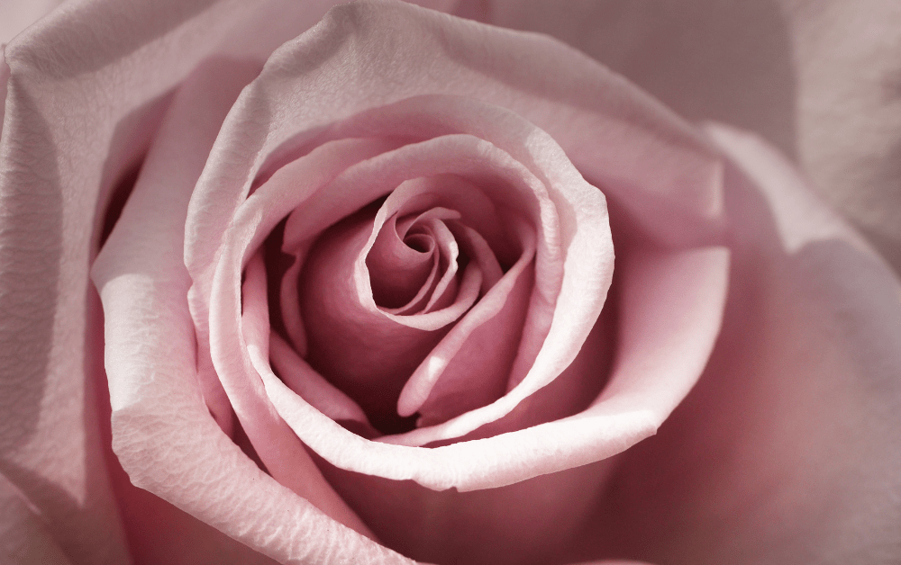 A Reminder To Appreciate&nbsp;Yourself