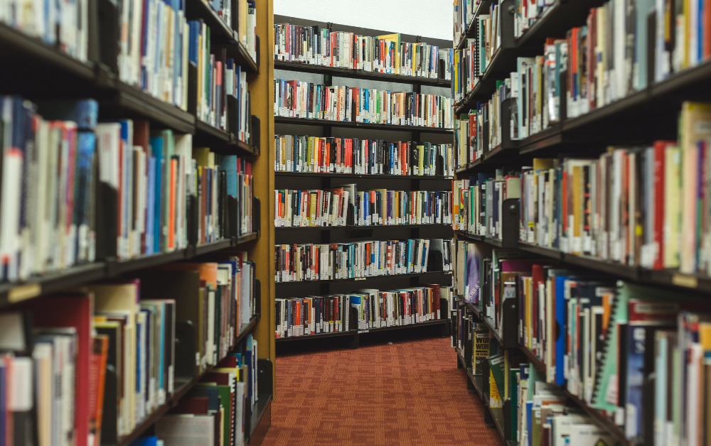 SHORT STORY| A Reign on My&nbsp;Parade