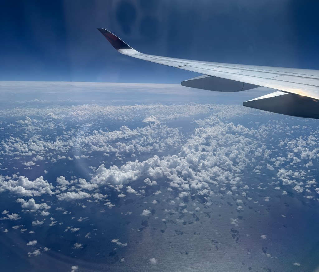 Life Update| November&nbsp;2025