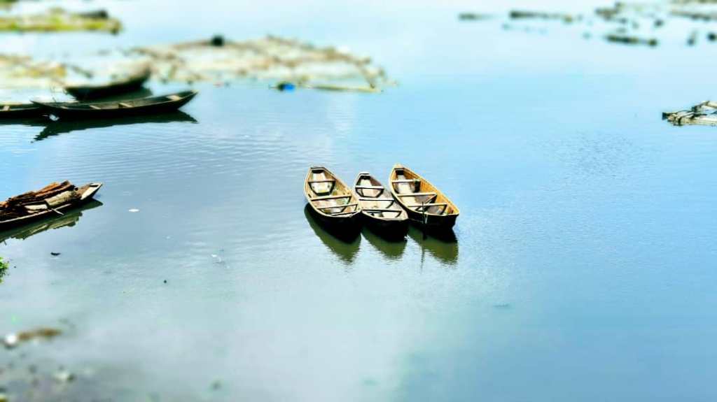 The Tide of&nbsp;2025