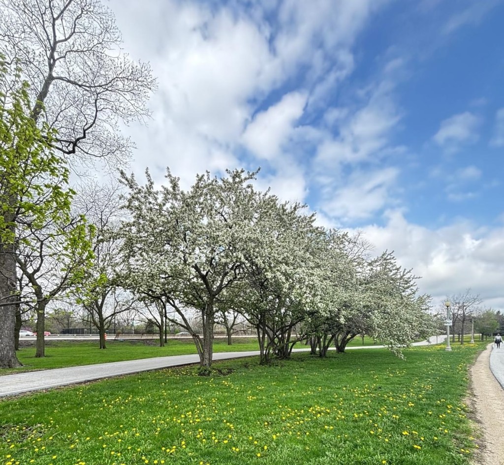 What This Season Is Teaching Me - Life Update| April 2026 